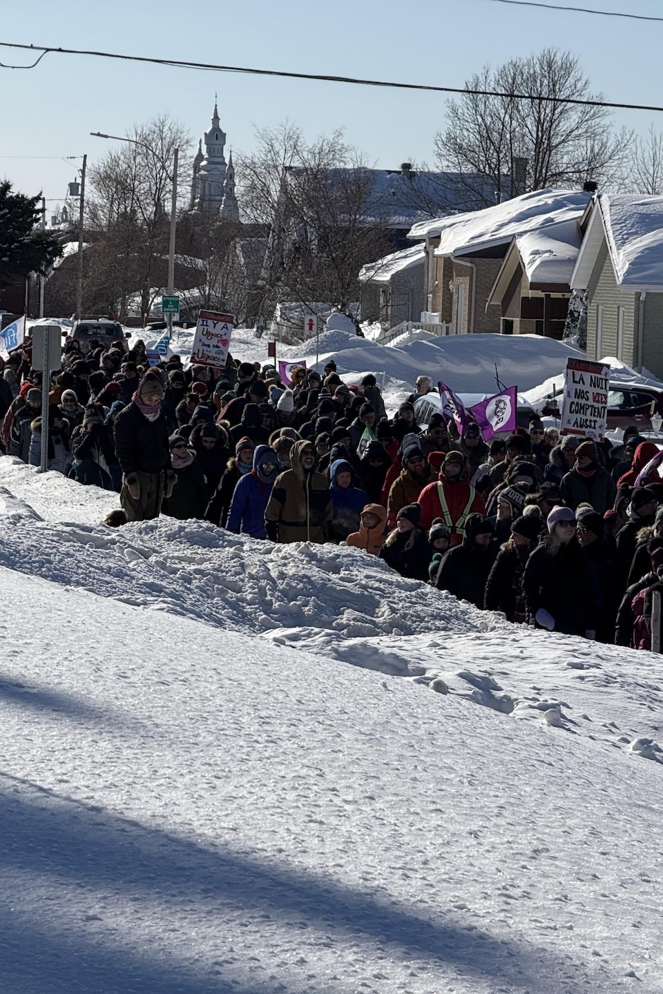 Des dizaines de personnes marchent dans une rue résidentielle en hiver. Plusieurs pancartes et drapeaux sont visibles.