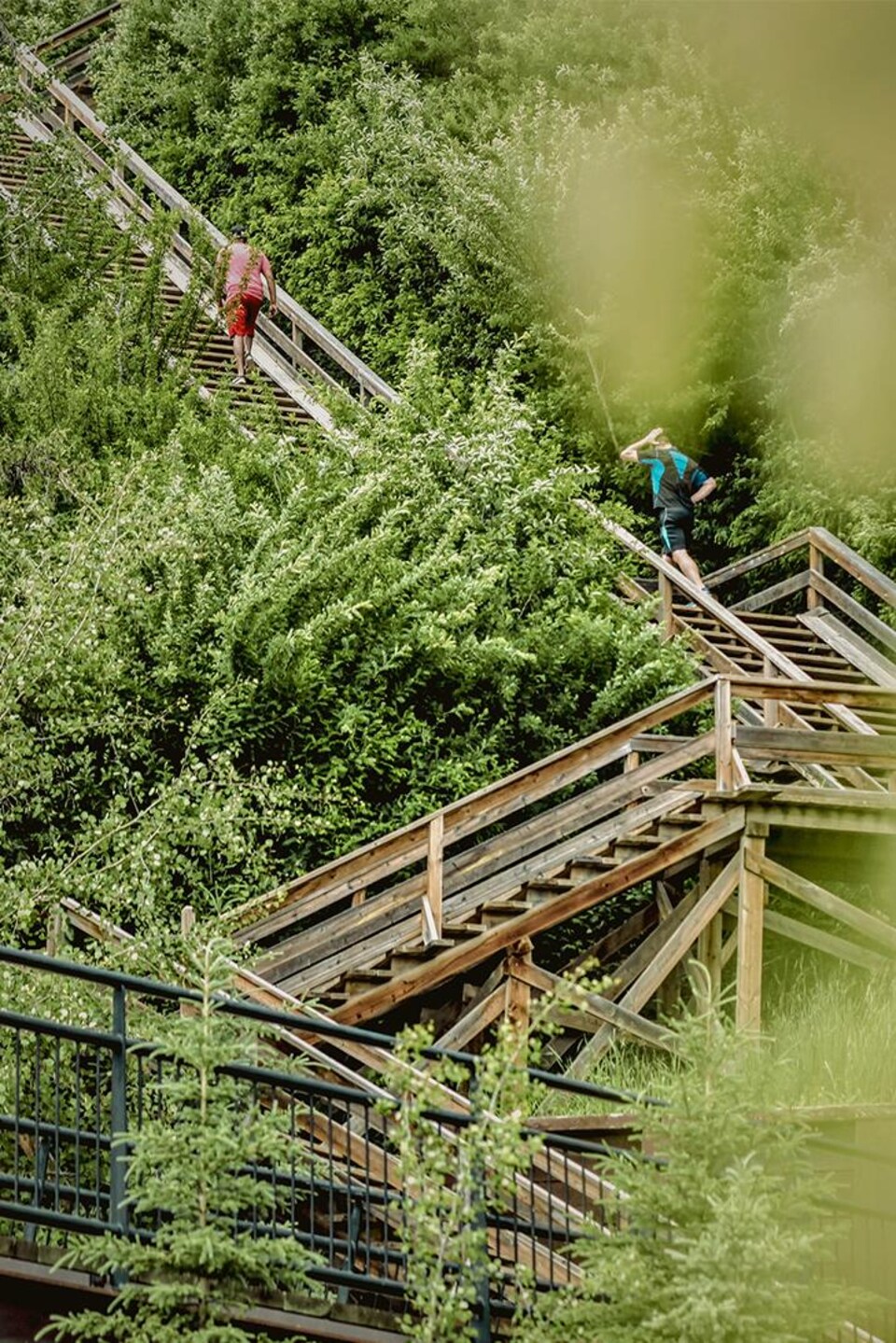 Un escalier dans un décor boisé relie la rive au centre-ville d'Edmonton, construite en haut du ravin de la vallée de la rivière.