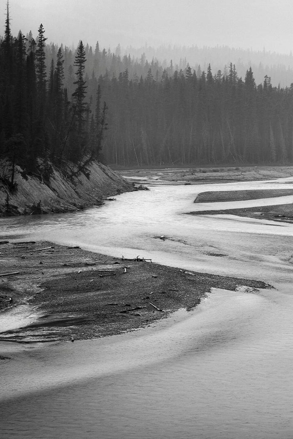 La rivière Saskatchewan Nord dans le parc national Banff.