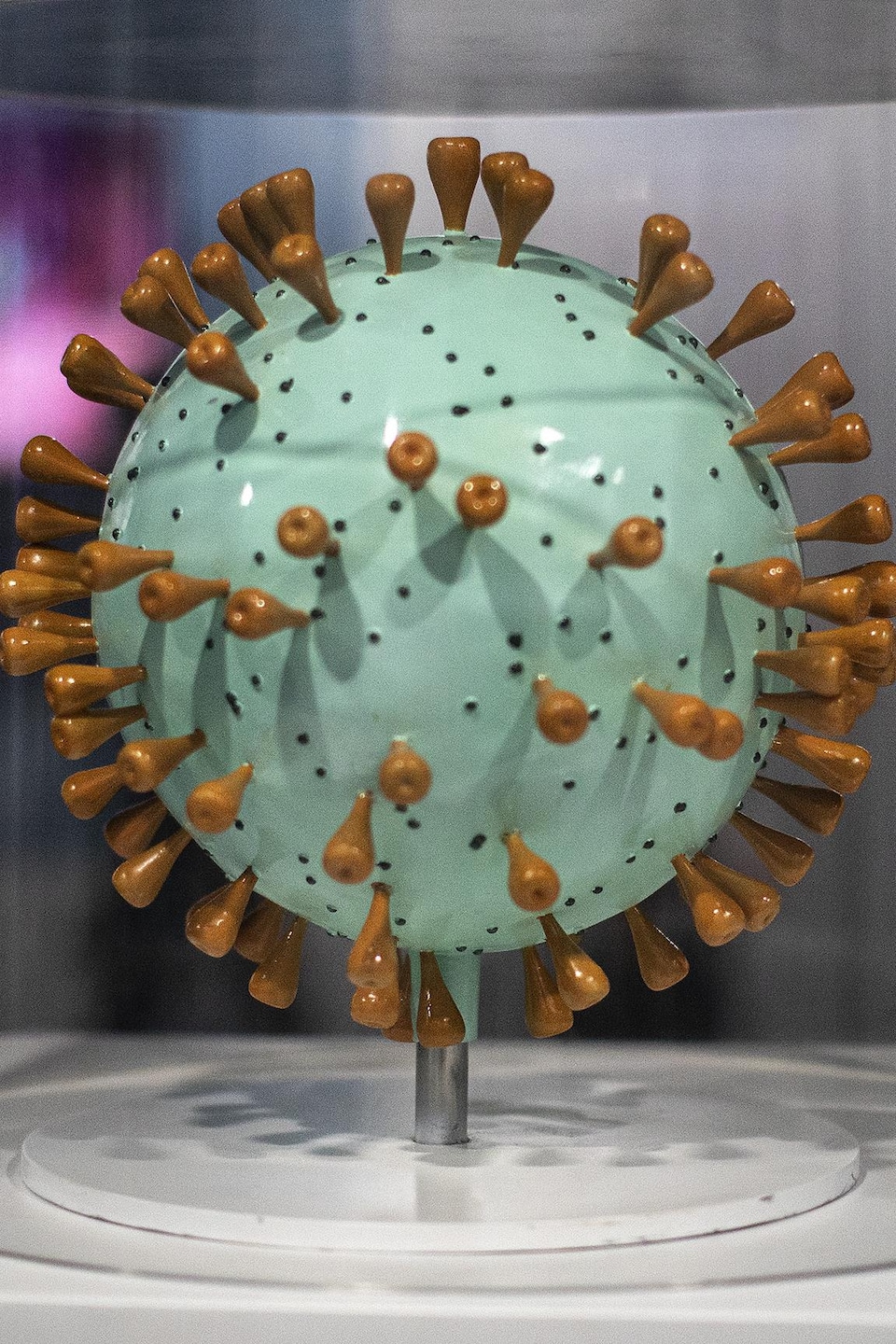 Maquette du virus de la COVID-19.