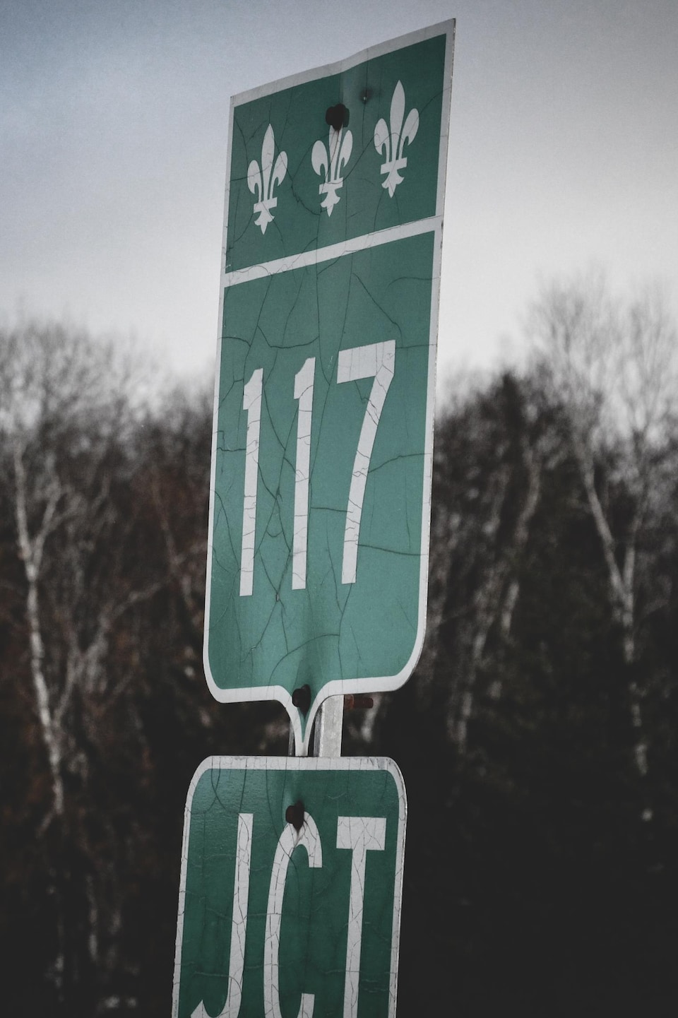 Une pancarte indiquant la route 117. 