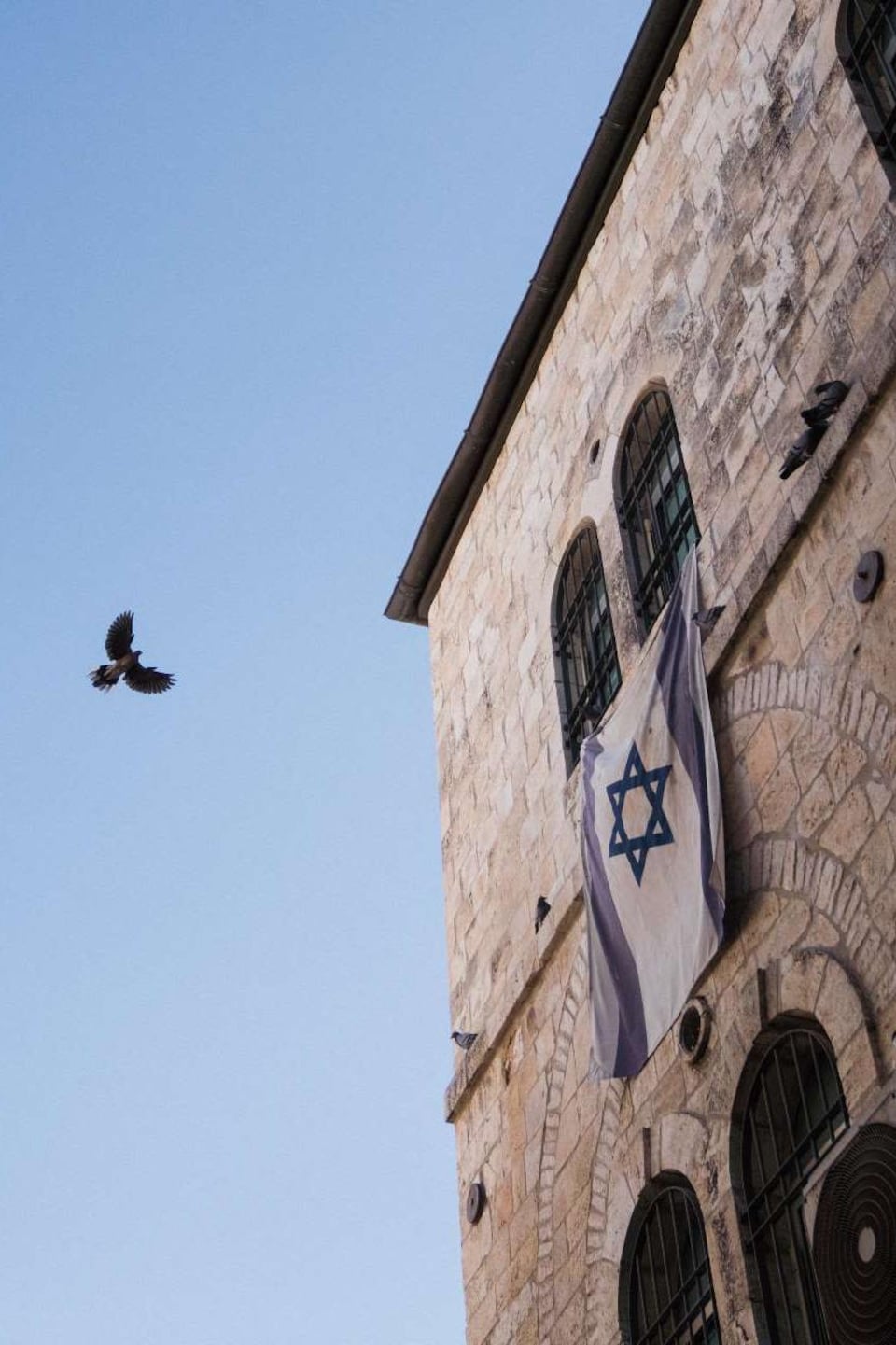 Un oiseau passe entre deux immeubles d'où pend un drapeau israélien.