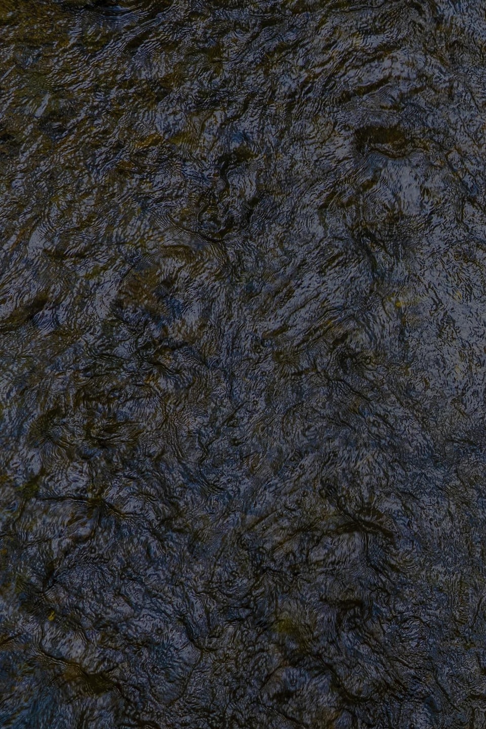 Eau trouble.