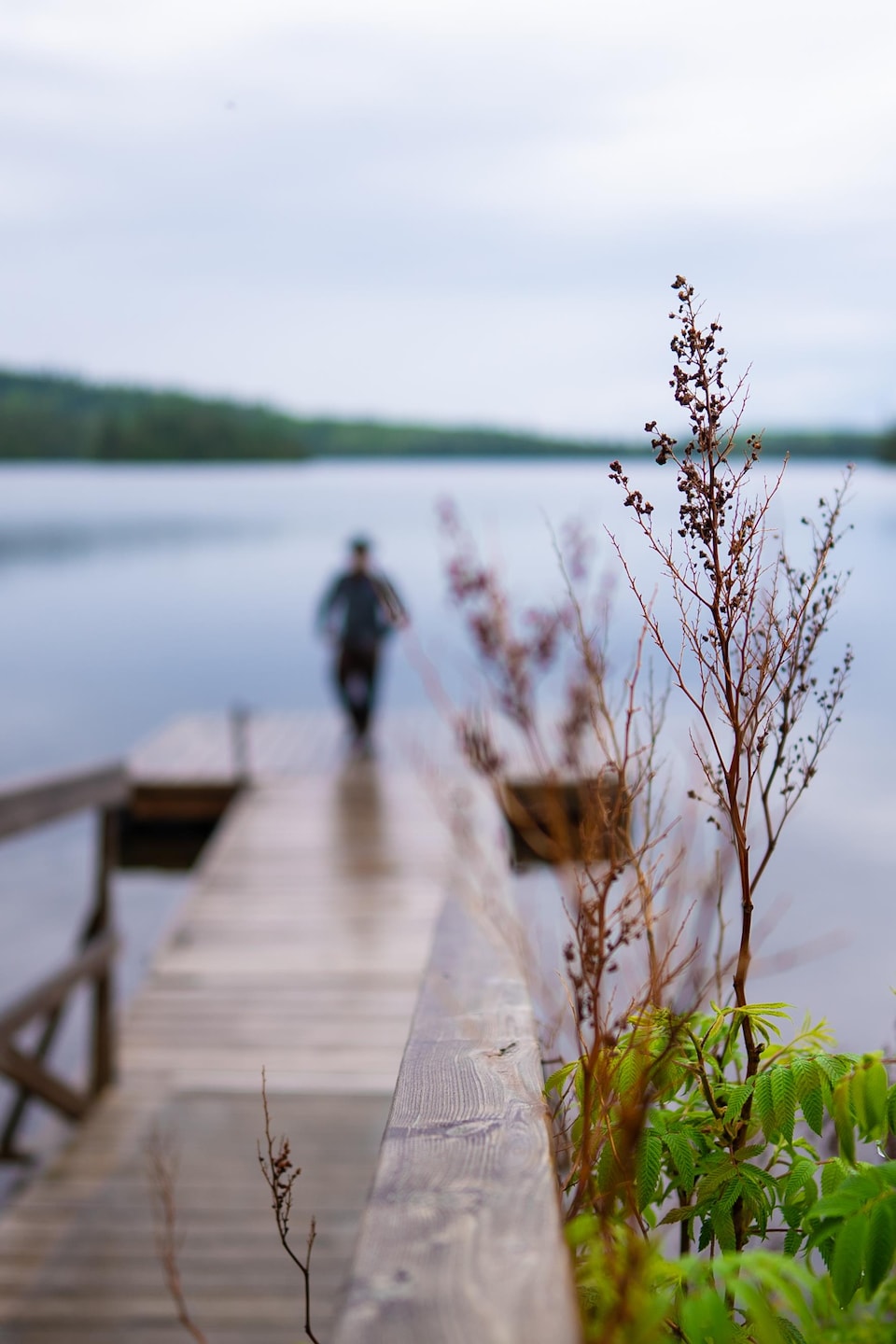 La silhouette d'un homme sur un quai devant un lac.