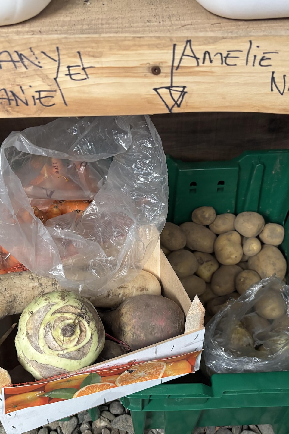Un bac de plastique contenant des patates, du chou, du panais, des carottes et des betteraves.