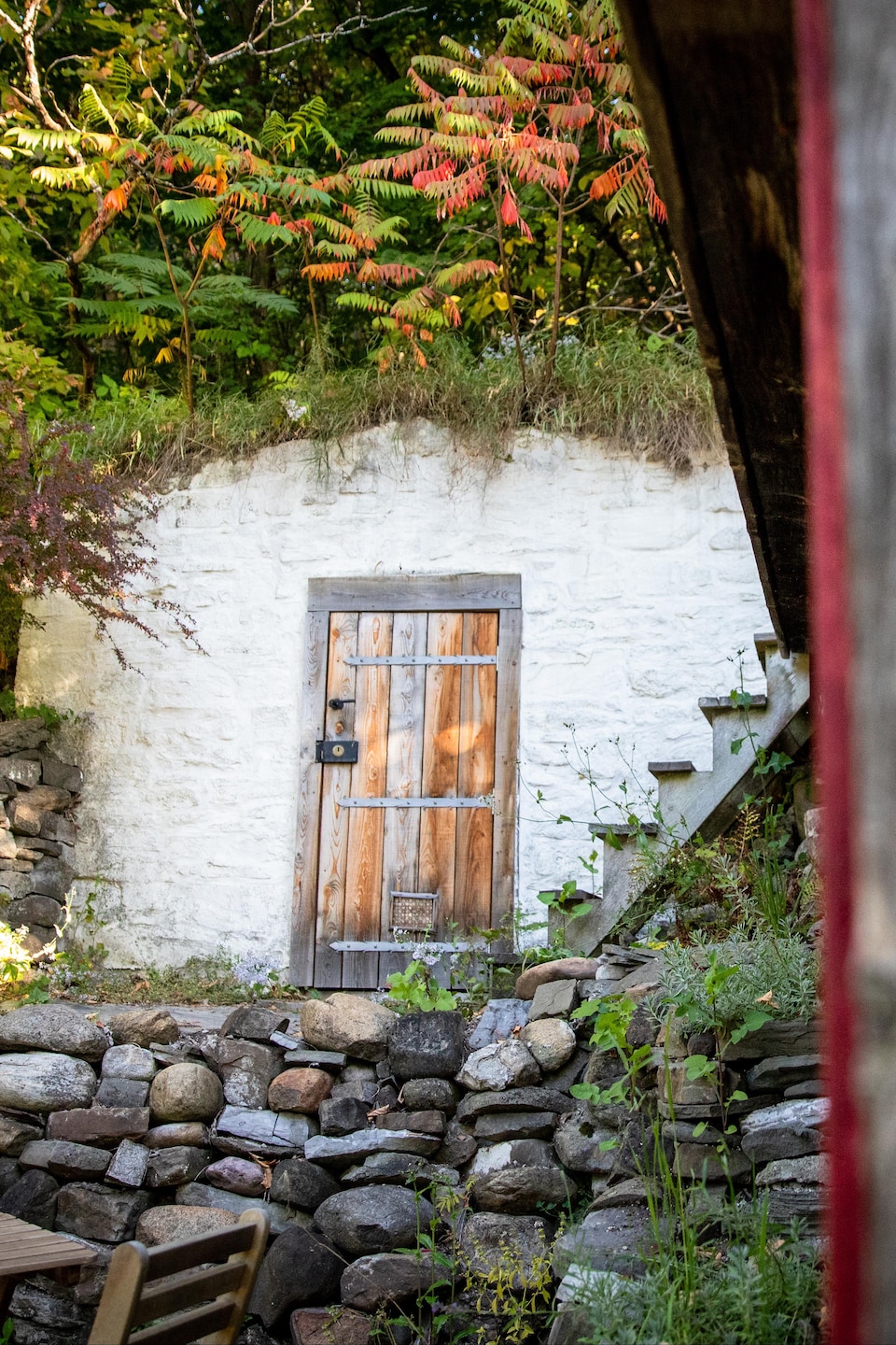 Une cave à racine en pierre blanche avec porte en bois s'encastre dans une butte, observée à travers l'ouverture d'une cabane.