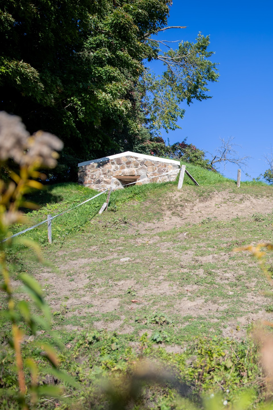 Deux chevaux au pâturage en bordure d'un caveau de pierre.