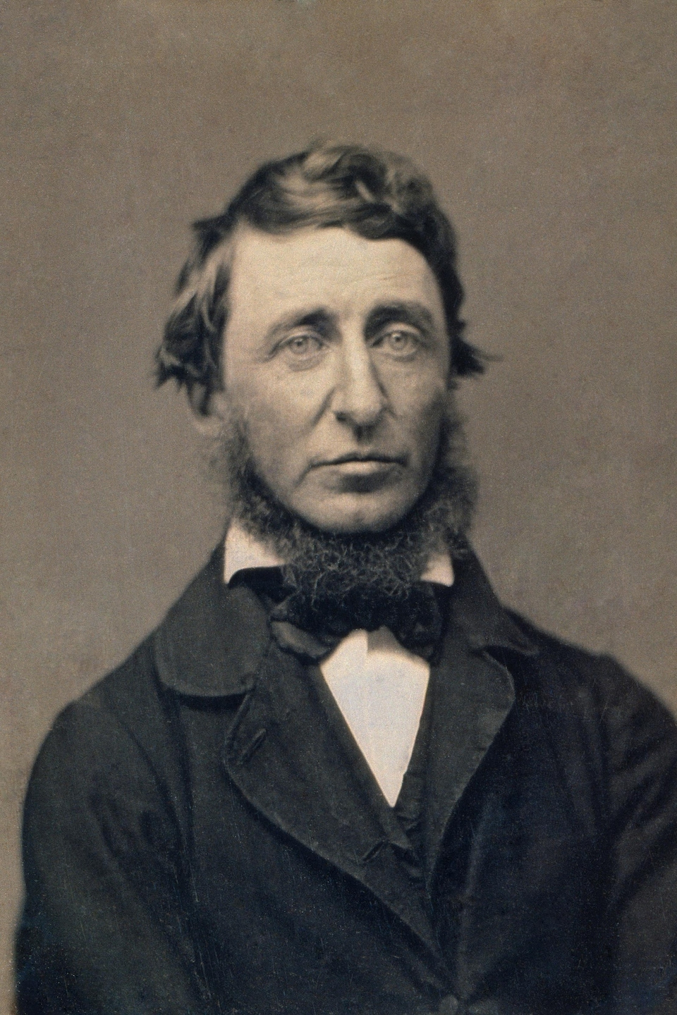 Portrait de Henry David Thoreau vêtu d'un veston sombre et d'un nœud papillon, le regard fixé vers l'avant.