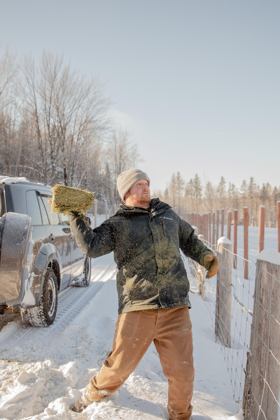 Un homme portant une tuque grise et un manteau foncé lance un bloc de foin par-dessus une clôture grillagée dans un grand enclos enneigé, à côté d'un véhicule utilitaire sport dont le coffre est ouvert.