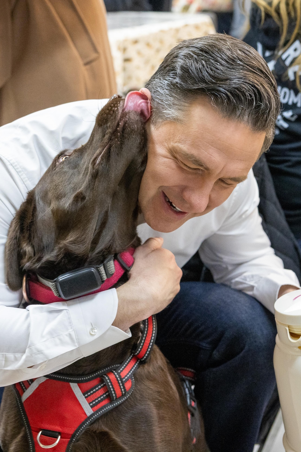 Un chien lèche l'oreille de Pierre Poilievre.