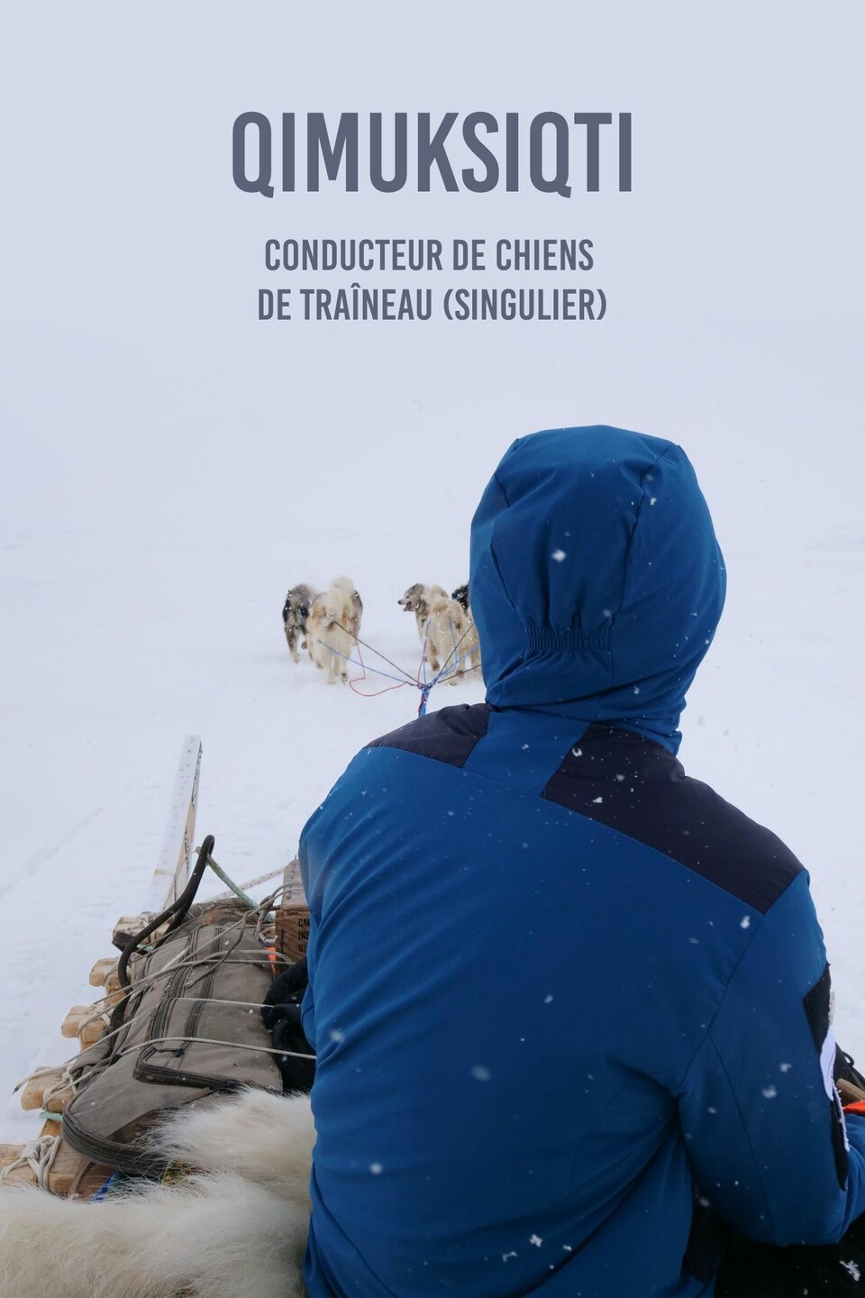 Le mot en inuktitut « qimuksiqti » et sa traduction,conducteur de chiens de traîneau au singulier écrit sur une photo de Devon Manik de dos en train de conduire son traîneau à chien, au mois de juin à Resolute Bay, dans le nord du Nunavut.