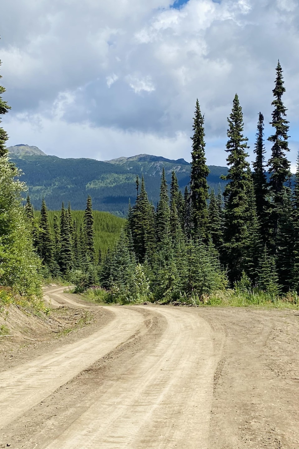 Des chemins forestiers négligés et dangereux