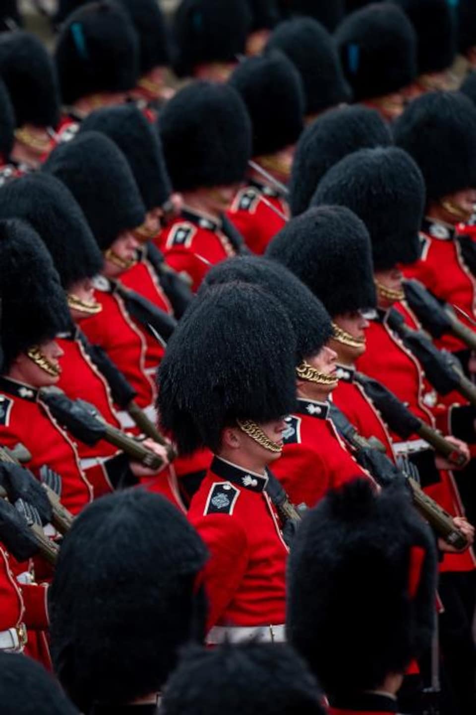 Un défilé des Coldstream Guards, portant une tunique rouge et un bonnet noir en poil d'ours.