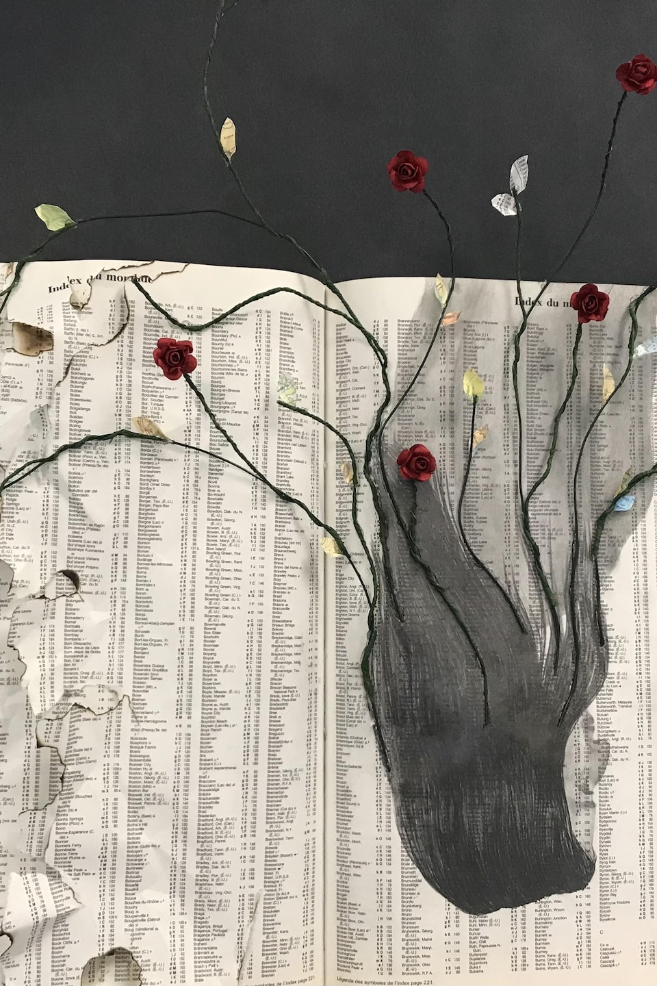 Oeuvre de Sara Robert