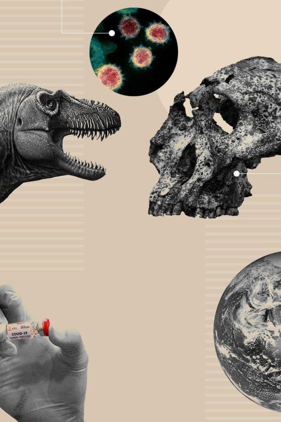 Un dinosaure, un crâne, la Terre et une fiole contenant le vaccin contre la COVID-19 représentent certains des événements scientifiques de l'année.
