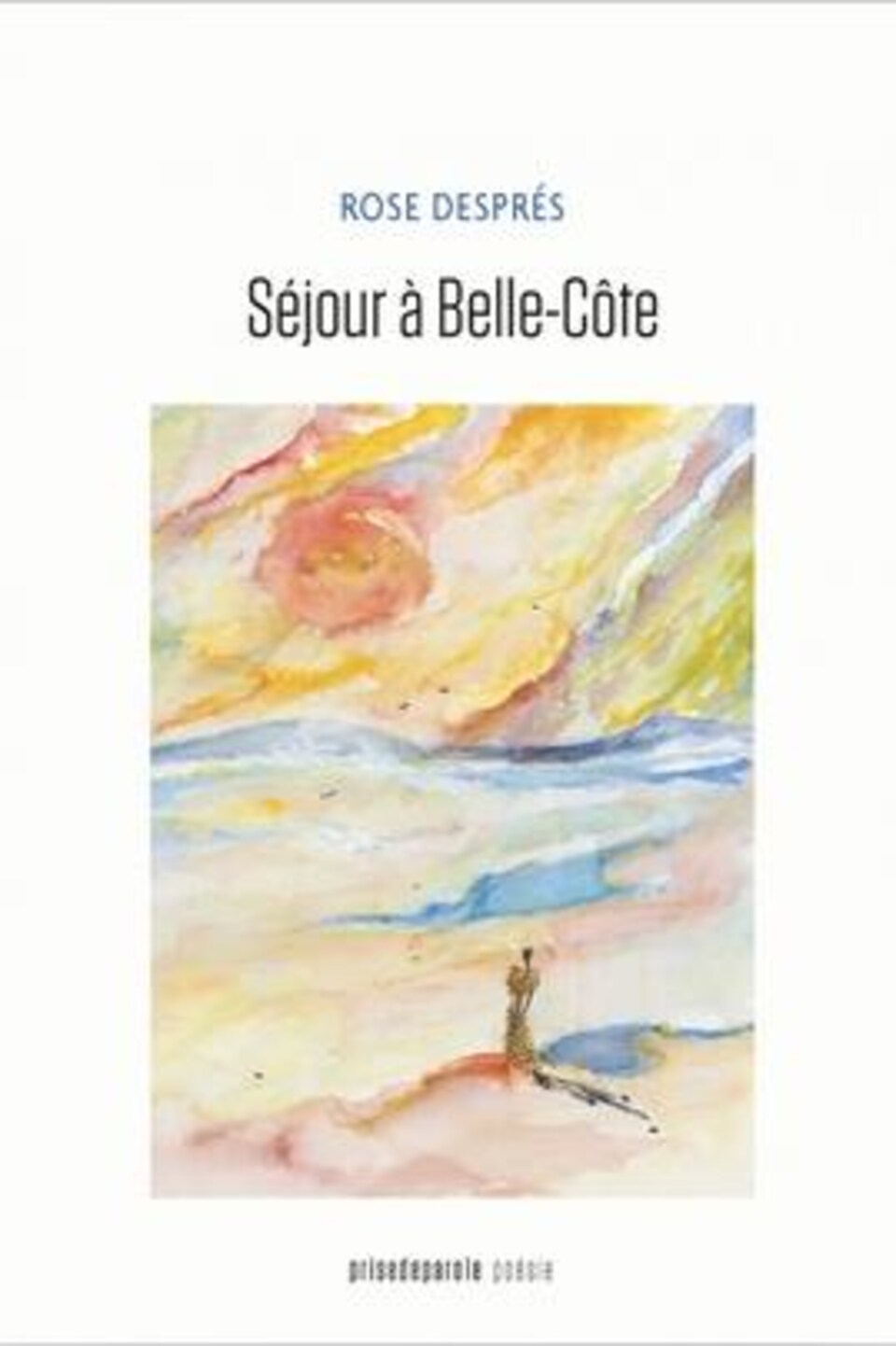 Sur la page couverture du livre, il y a un dessin d'une personne qui regarde l'horizon coloré.
