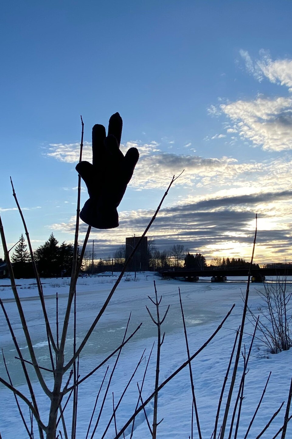 Un gant accroché à une branche sur la berge de la rivière McIntyre, à Thunder Bay.