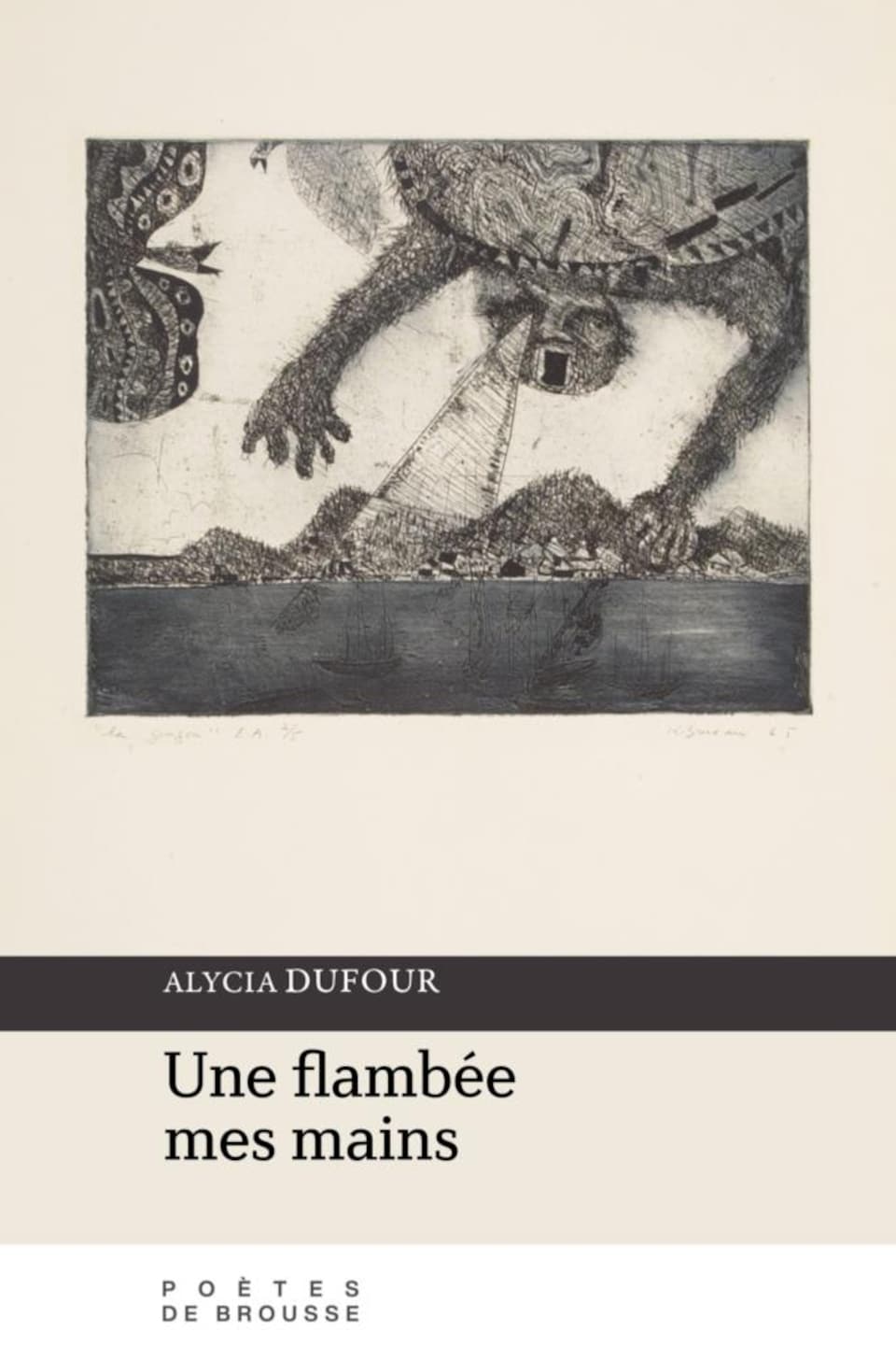 <em>Une flambée mes mains</em>, le premier recueil de poésie d'Alycia Dufour.