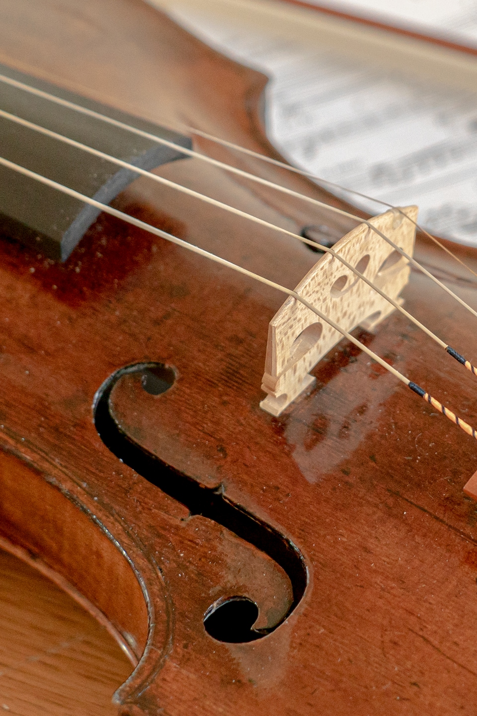 Hidersine Andante Corde En Ré (D) Pour Violon Taille 1/2 - Corde Acier Facile à Jouer, Son Chaud Et Puissant - Idéal Étudiants