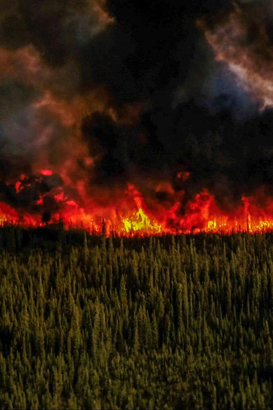Photo d'un feu de forêt.
