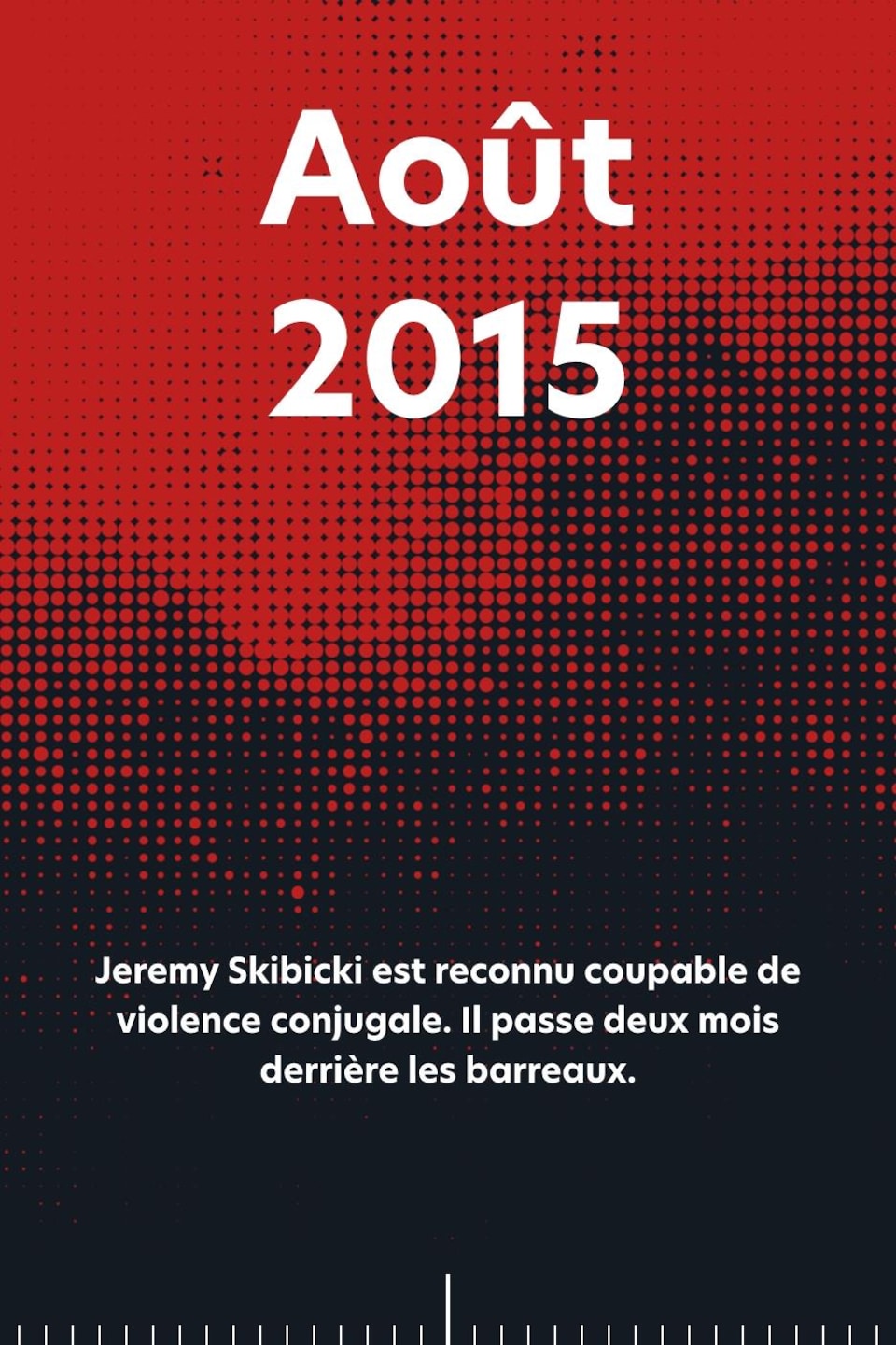 Août 2015 : Jeremy Skibicki est reconnu coupable de violence conjugale. Il passe deux mois derrière les barreaux.