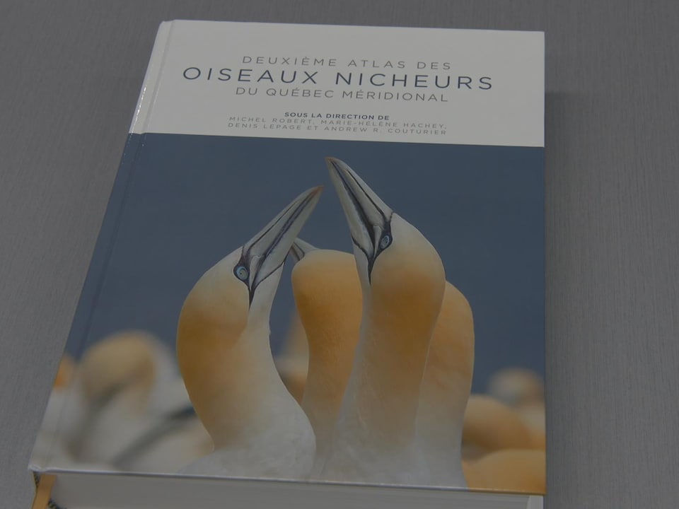 L'« Atlas des oiseaux nicheurs du Québec méridional ».