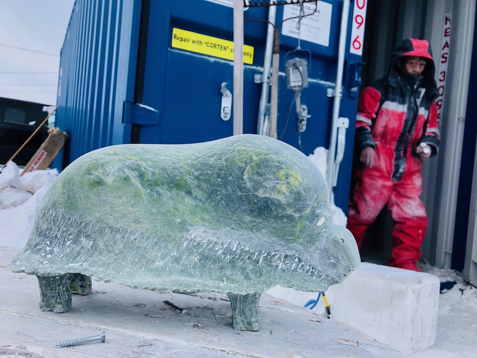Une image du boeuf musqué sculpté par l'artiste Jomie Aipeelee. Elle montre en arrière-plan, le sculpteur qui sort d'un conteneur où une partie de son travail a été effectué.
