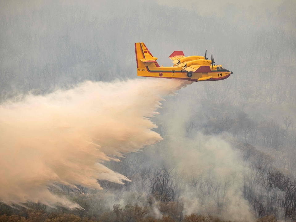 bombardier-eau-canadair-feu-foret-maroc.jpg