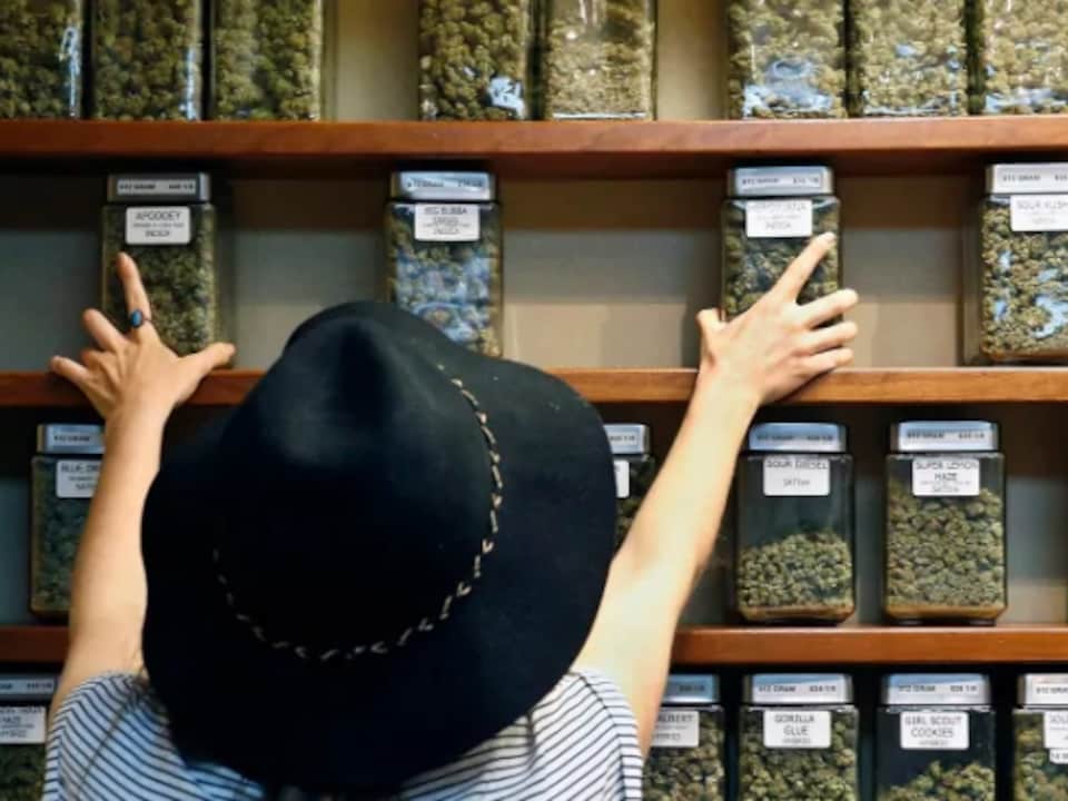 Des pots remplis de feuilles séchées de cannabis sur des étagères.