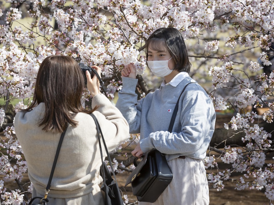 A woman takes a picture of a girl next to a cherry blossom tree.