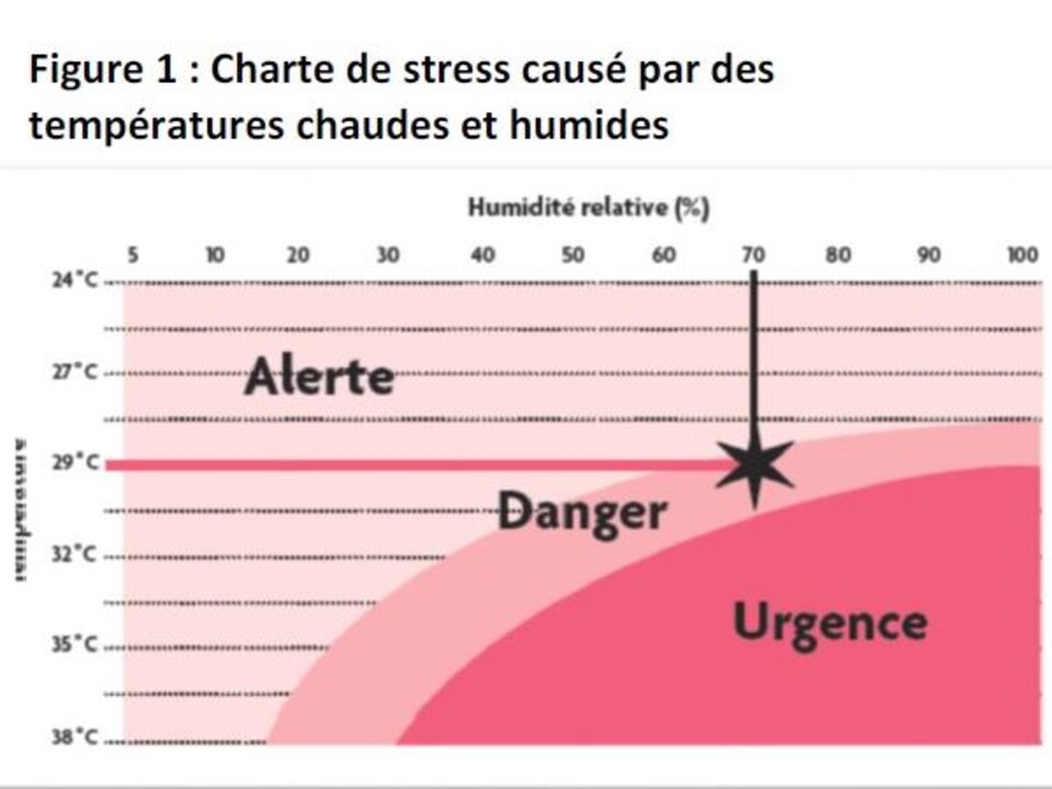 Ce graphique présenté par les Éleveurs de porcs du Québec à ses membres est tiré du « Guide de référence sur la manipulation et le bien-être des porcs durant le transport ».