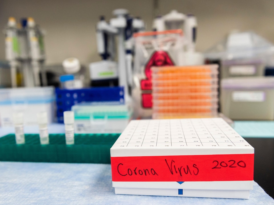 Une boîte dans un laboratoire sur laquelle il est écrit: Corona Virus 2020.