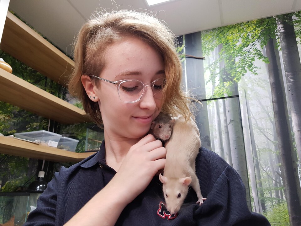 Une élève tient de petits rats domestiques sur son épaule.