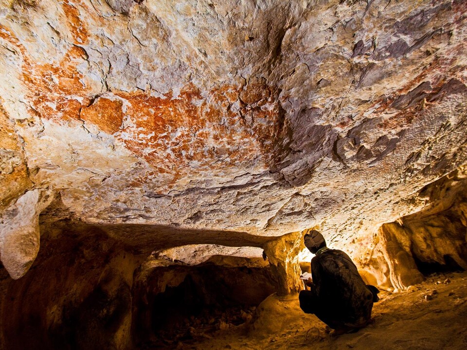 Le dessin d'un animal dans une grotte de la province de Kalimantan,en Indonésie.