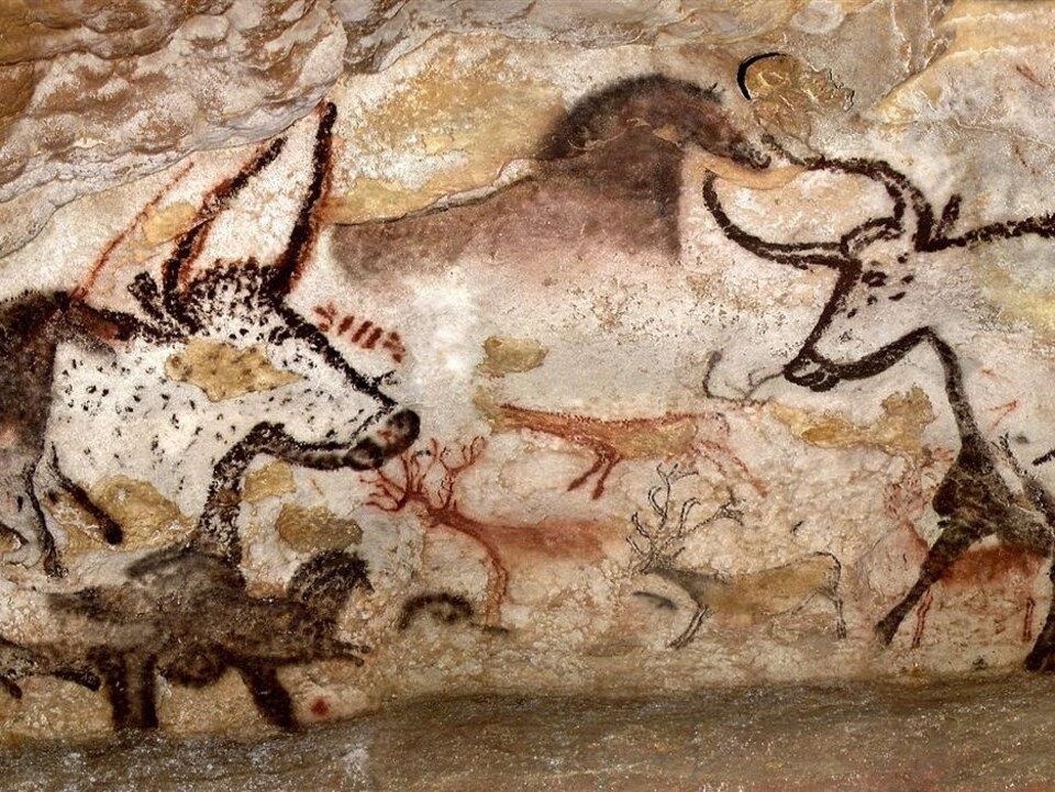 Une des images les plus reconnaissables de la grotte de Lascaux.