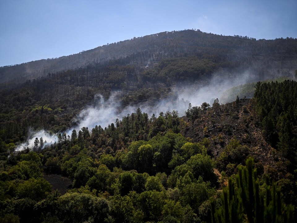De la fumée s'échappe des arbres qui poussent sur une montagne portugaise.