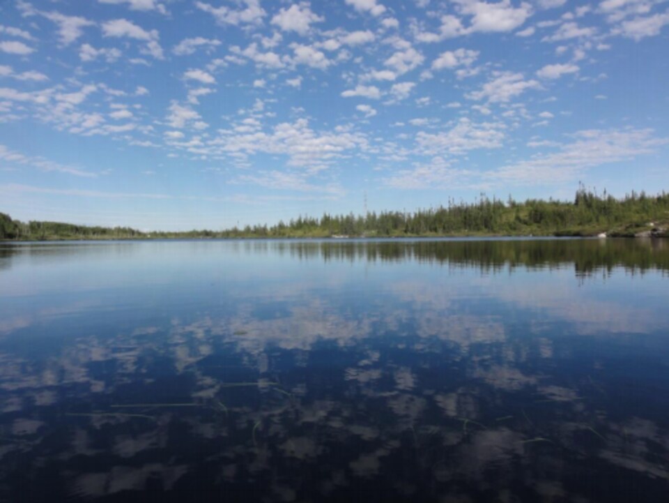 Un lac en été.