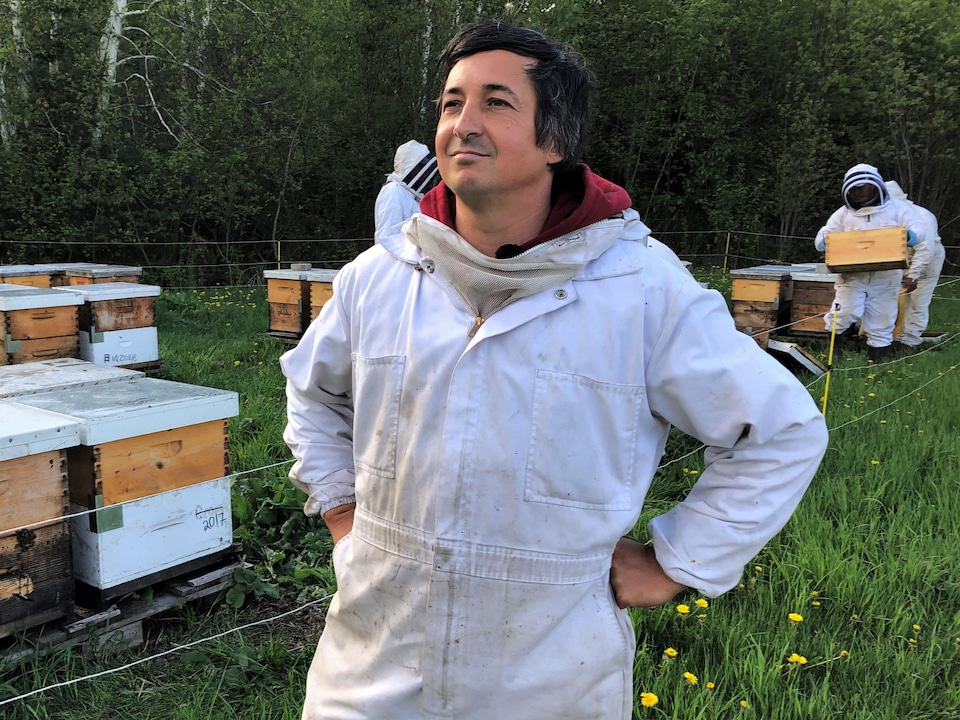 SELUXU Boîte de Ruche en Ruche Pollinisation en Ruche Apiculture pour Accouplement dabeilles Matériel apicole Outil Apiculteur