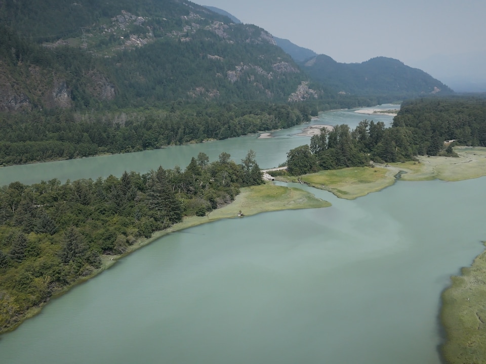 L'estuaire de Squamish, en juillet 2026, en Colombie-Britannique.