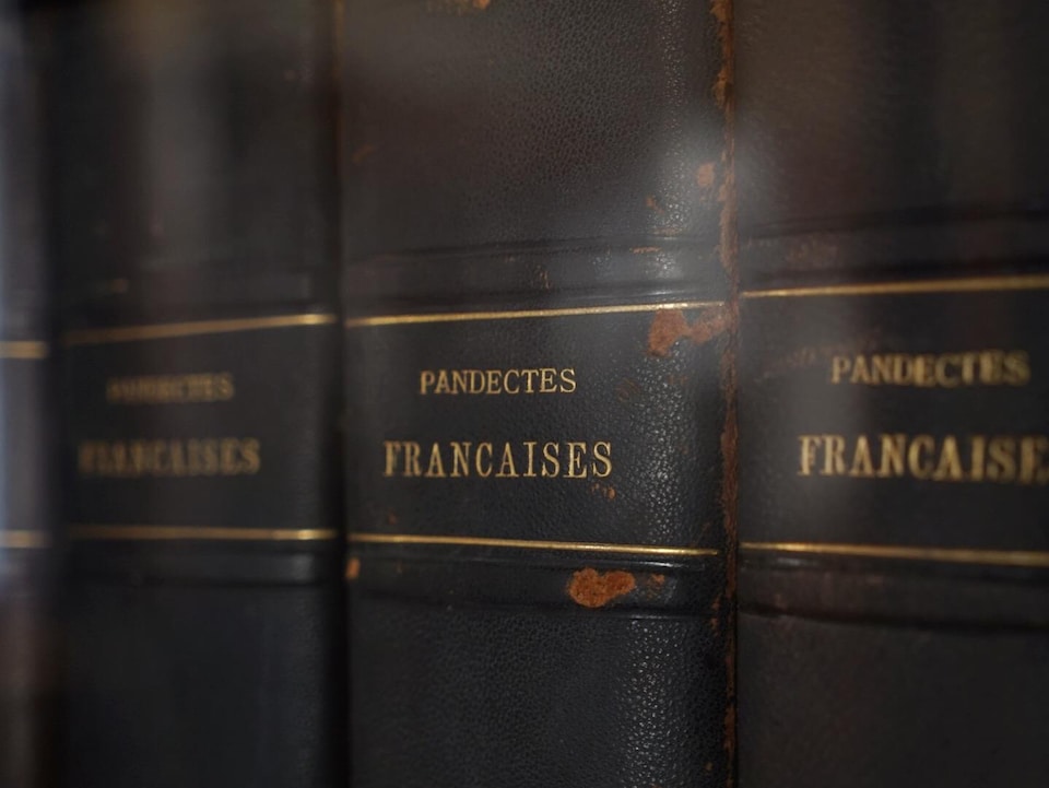 Il est écrit sur le dos des livres : « Pandectes françaises ».