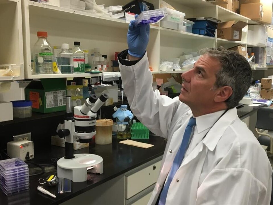 Gary Kobinger, directeur du Centre de recherche en infectiologie (CRI) de l'Université Laval à Québec.