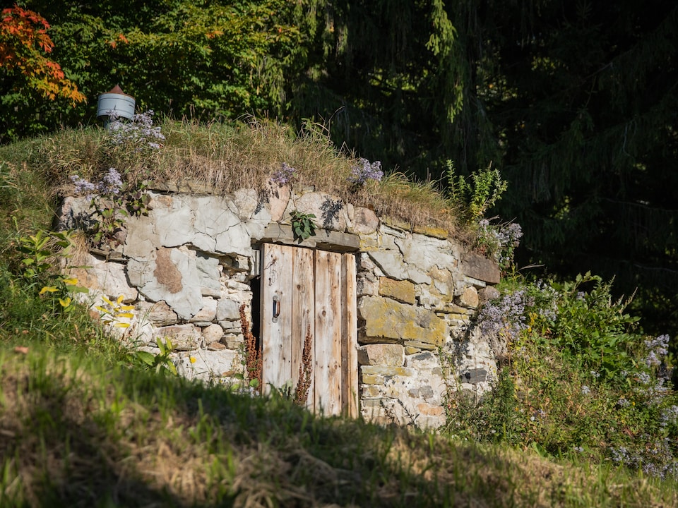 Un caveau en pierre juché dans une bute de gazon.