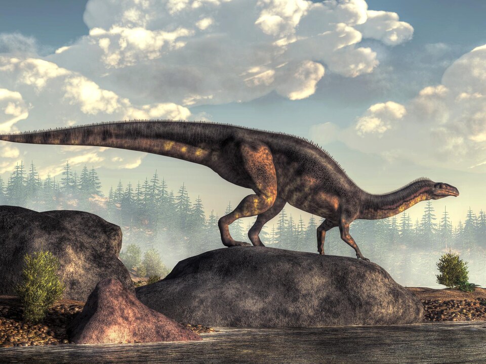 Illustration artistique d'un Plateosaurus qui se tient sur un gros rocher au bord d'un ancien lac. 