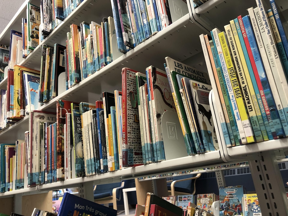 Des rangées de livres dans une bibliothèque.