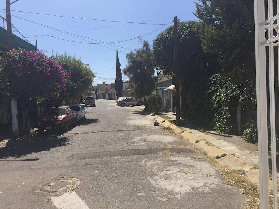 Quelques voitures sont stationnées le long de la rue bordée de maisons et de végétation.