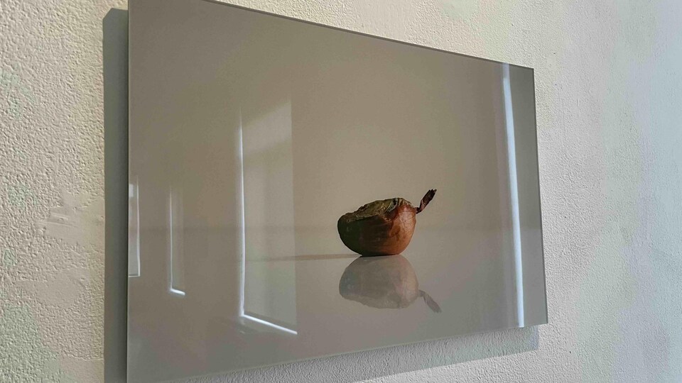 Photographie d'un oignon.