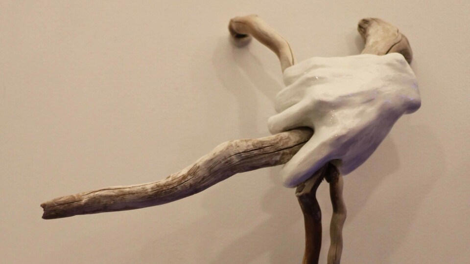 Une main tient une branche et l'ensemble ressemble à une araignée.