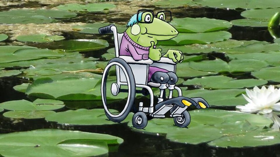 Dessin de grenouille dans un fauteuil roulant. 