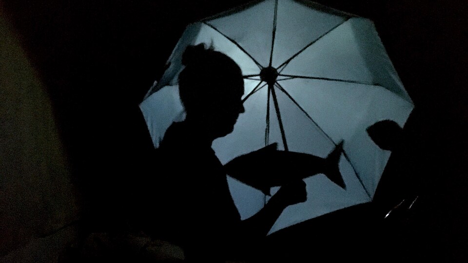 Ombre de femme avec parapluie et poisson. 