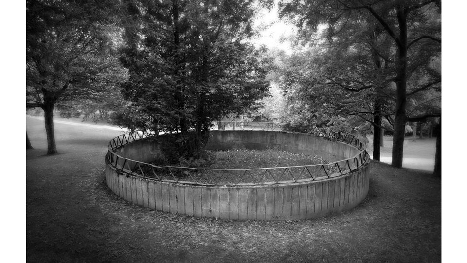 Cette photo, intitulée L'arbre en cage, a été prise par Normand Métivier au parc Victoria. Il s'agit d'un arbre encerclé par une ceinture de béton. « J'aime la confrontation nature/ville, surtout quand la nature gagne! », soutient-il.
